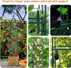 Garden Obelisk Trellis for Climbing Plants Outdoor 165cm Rose Bush Sqaure Trellis for Pots Rustproof Metal Plant Flower Trellises for Vine Jasmine Sup